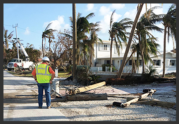 Storm Damage Cleanup